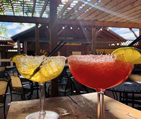 margarita-monday.jpg